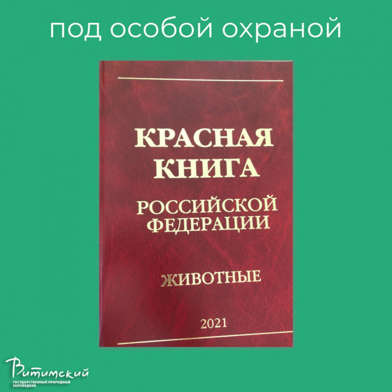 Красная книга РФ