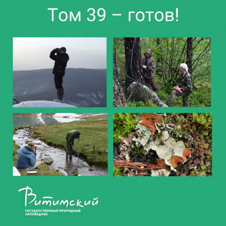 Том 39 - готов