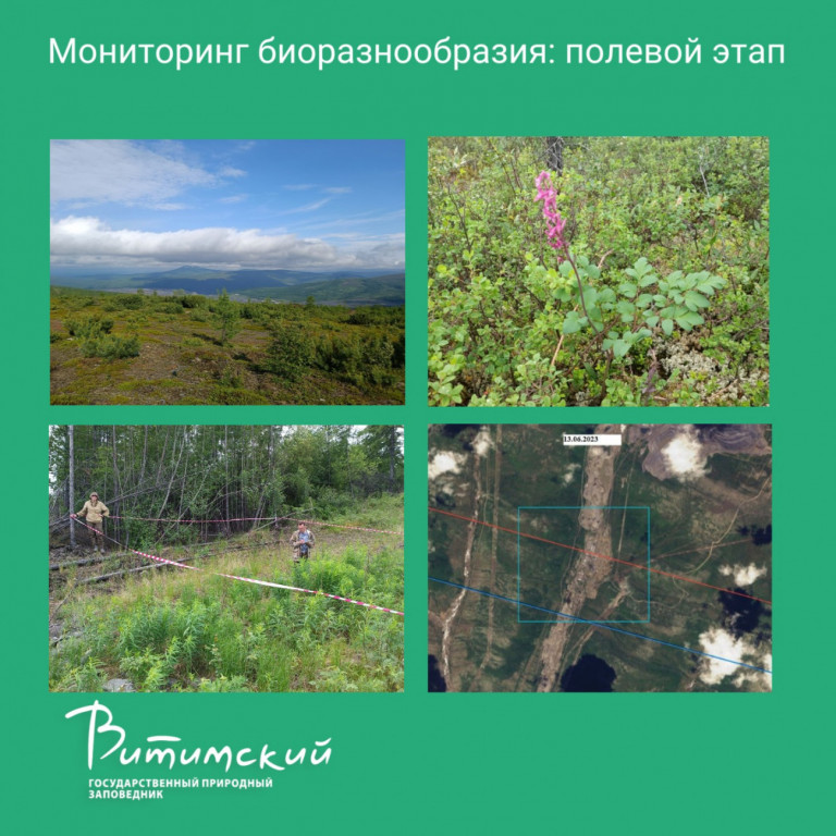 Мониторинг биоразнообразия: полевой этап