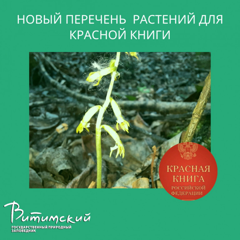 Новый перечень растений  для красной книги