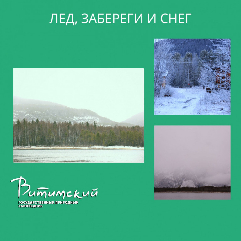 Лед. забереги и снег