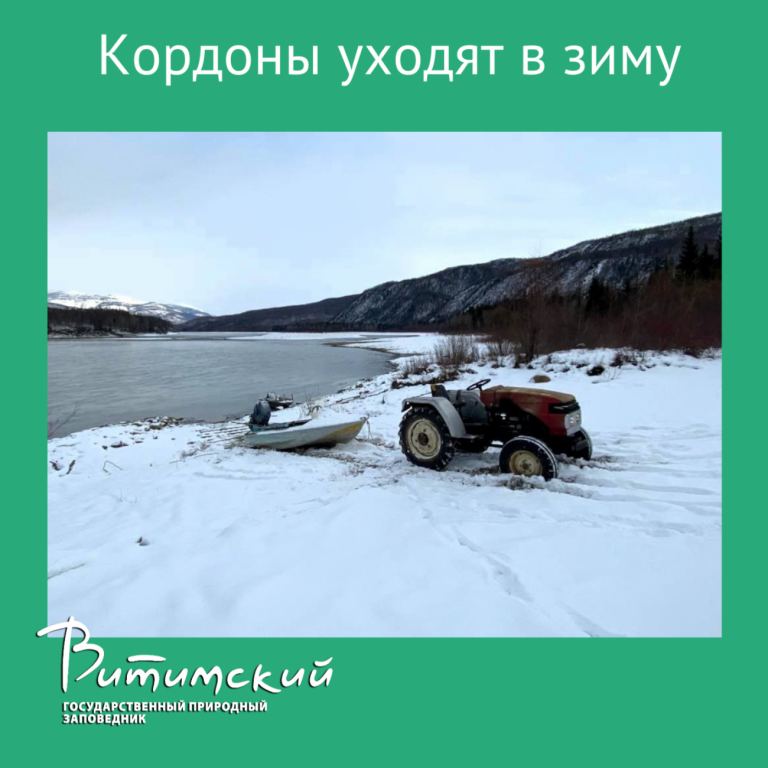 Кордоны уходят  в зиму