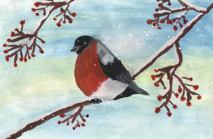 "Снегирь на ветке рябины". Рисунок Кожевниковой Анны (12 лет, библиотека п. Мамакан)