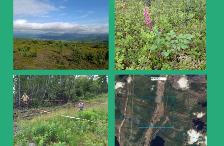 Мониторинг биоразнообразия: полевой этап